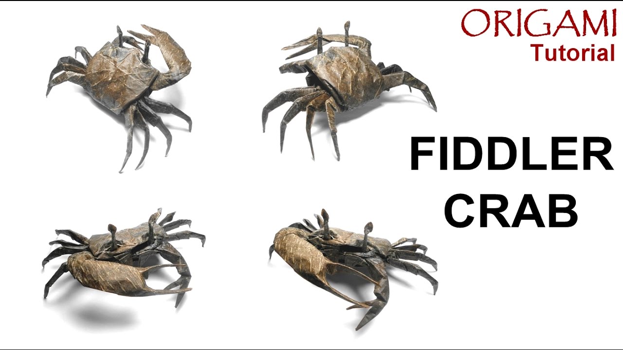 Fiddler Crab Diagram