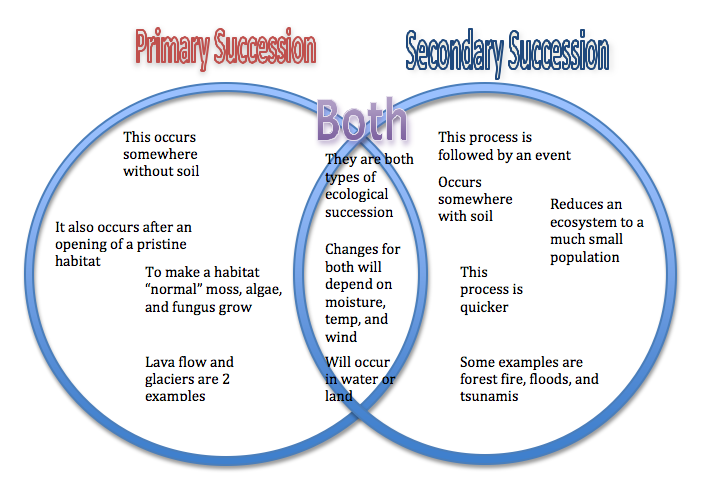 Primary And Secondary Succession Venn Diagram
