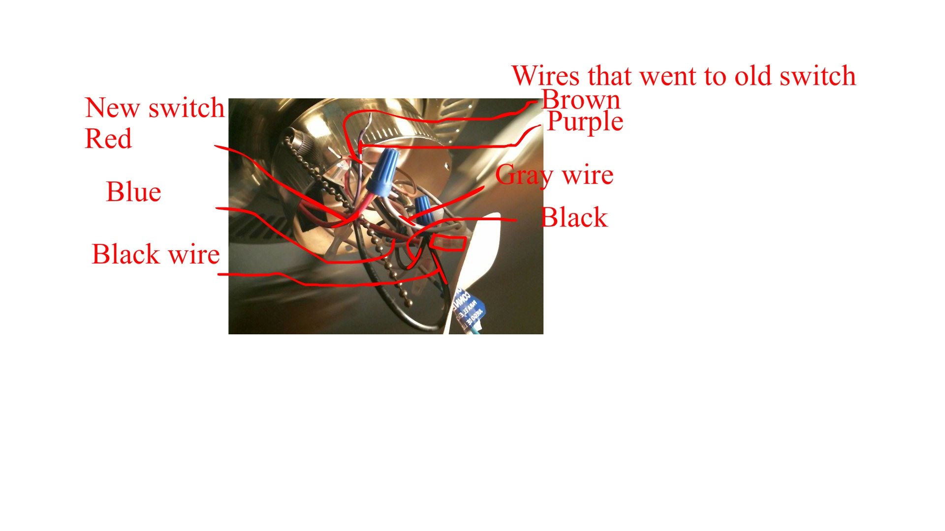 Ceiling Fan Wiring Diagram Three Black Wires from diagramweb.net
